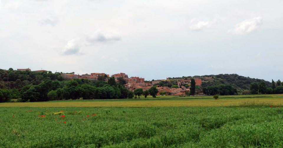 22.5.2016   Castellnou d'Oluges -  Ramon Sunyer