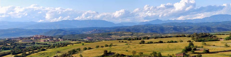 22.5.2016 vall del Llobregós  Selvanera -  Ramon Sunyer