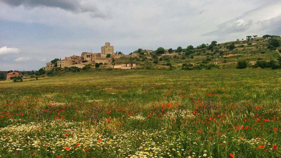 22 de Maig de 2016 Paisatge  Malgrat -  Ramon Sunyer