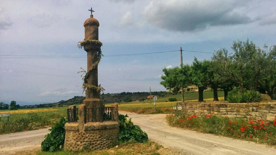 22 de Maig de 2016 Paisatge  Malgrat -  Ramon Sunyer