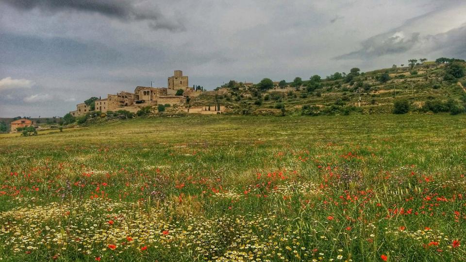 22 de Maig de 2016 Paisatge  Malgrat -  Ramon Sunyer