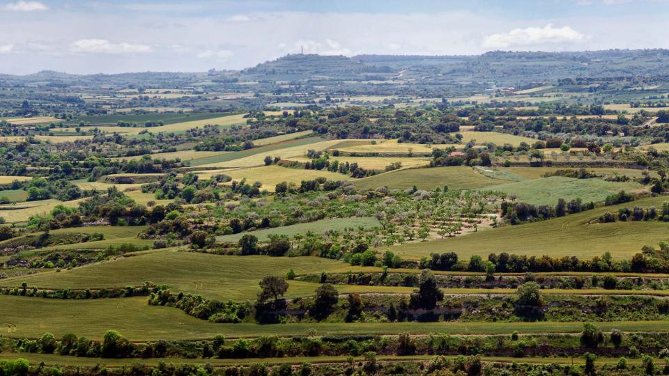 20.5.2016 Paisatge  La Curullada -  Ramon Sunyer