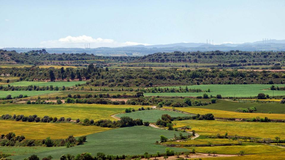 20 de Maig de 2016 Paisatge  Fonolleres -  Ramon Sunyer