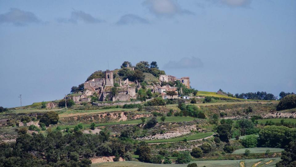 20.5.2016 Paisatge  Montlleó -  Ramon Sunyer