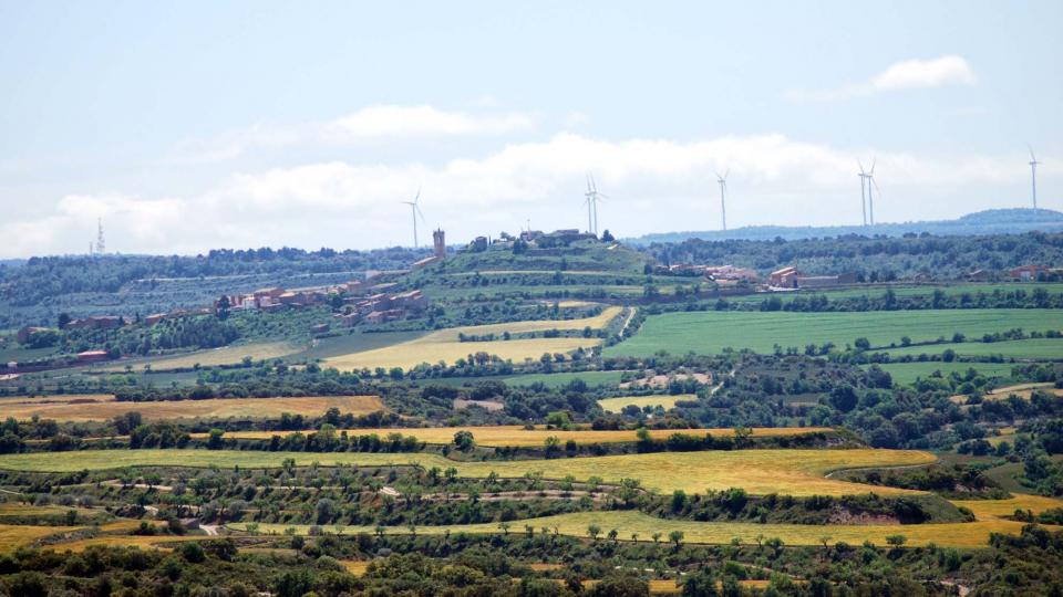 20.5.2016 Paisatge  Granyena de Segarra -  Ramon Sunyer