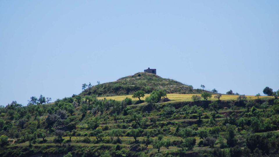 20 de Maig de 2016 Paisatge  Cervera -  Ramon Sunyer