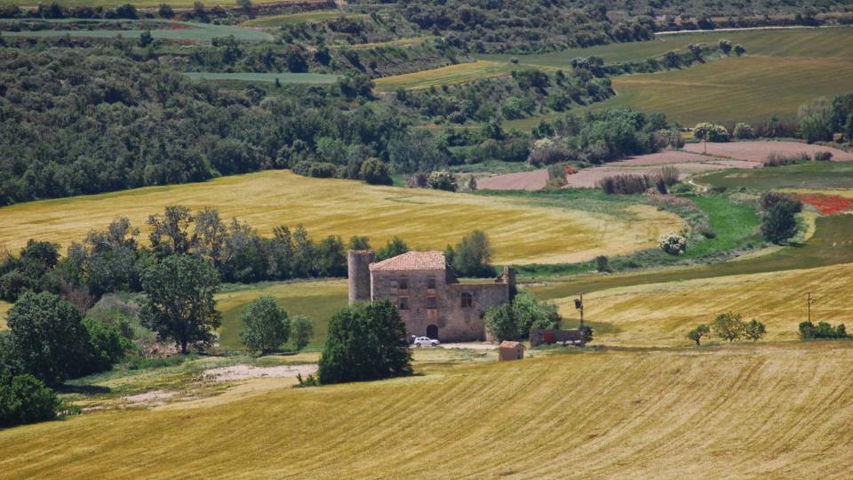 20 de Maig de 2016 torre molí Sa Portella  La Curullada -  Ramon Sunyer