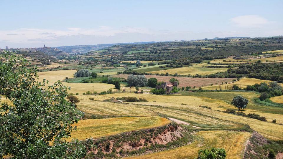 20 de Maig de 2016 Paisatge  Fonolleres -  Ramon Sunyer