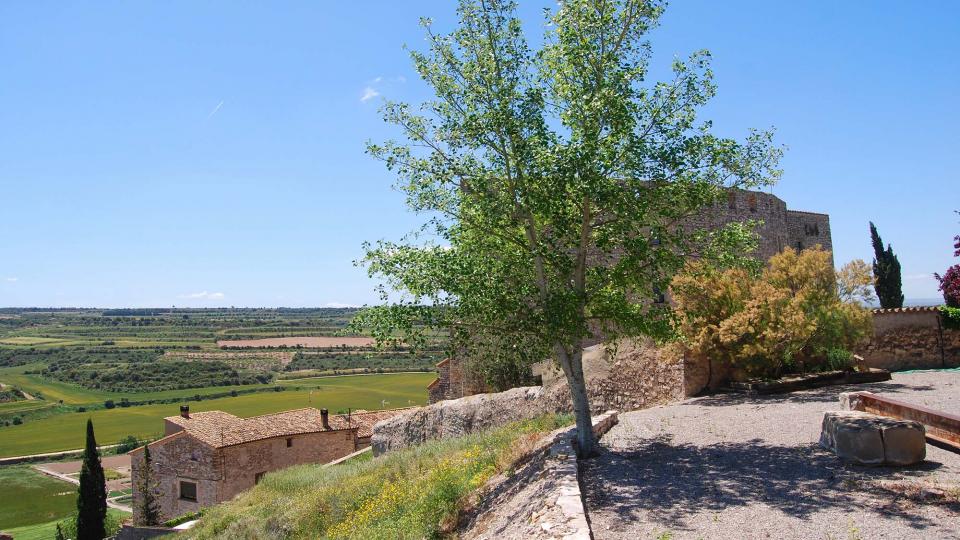 20 de Maig de 2016 Paisatge  Fonolleres -  Ramon Sunyer