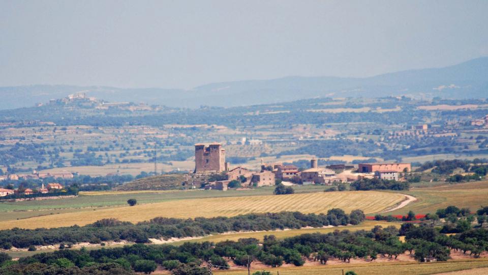 20.5.2016 Paisatge  Montcortès de Segarra -  Ramon Sunyer