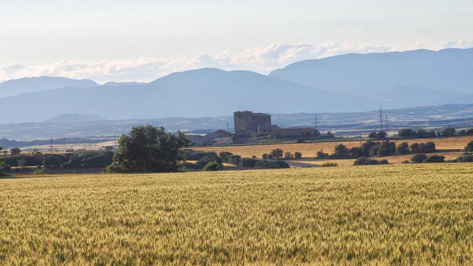 22 de Maig de 2016 Paisatge  Montcortès de Segarra -  Ramon Sunyer