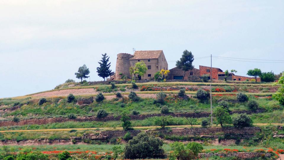 22 de Maig de 2016 Paisatge  La Morana -  Ramon Sunyer