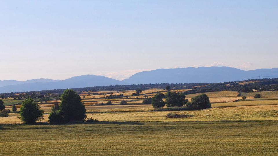 22.5.2016 Paisatge  Concabella -  Ramon Sunyer