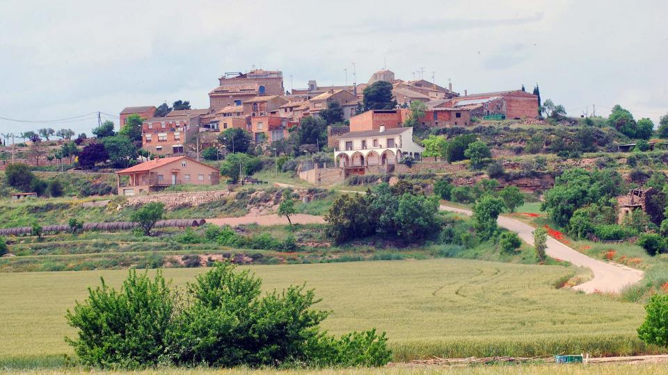 22 de Maig de 2016 Paisatge  La Morana -  Ramon Sunyer