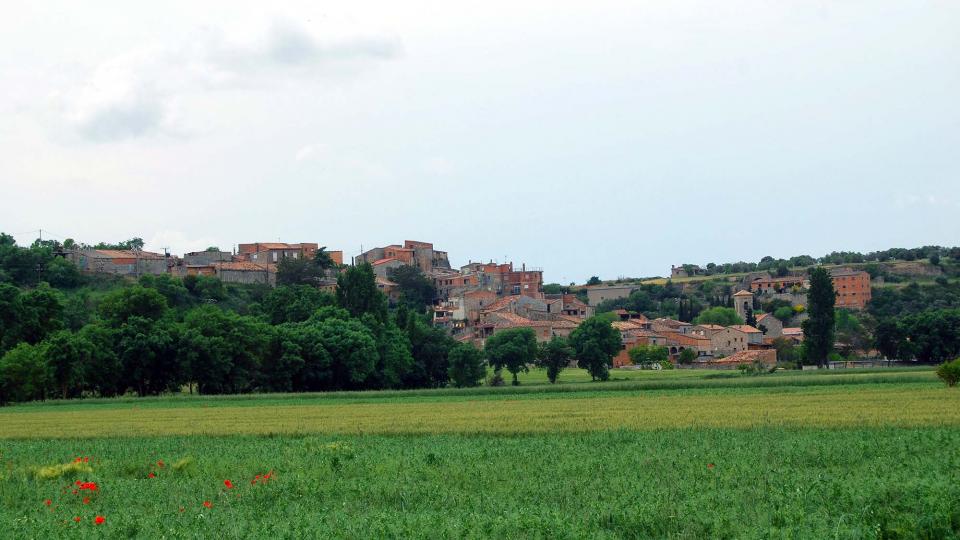 22 de Maig de 2016 Paisatge  Castellnou d'Oluges -  Ramon Sunyer