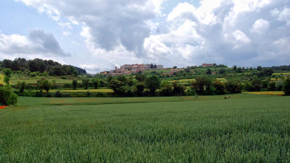 22 de Maig de 2016 Paisatge  Montpalau -  Ramon Sunyer