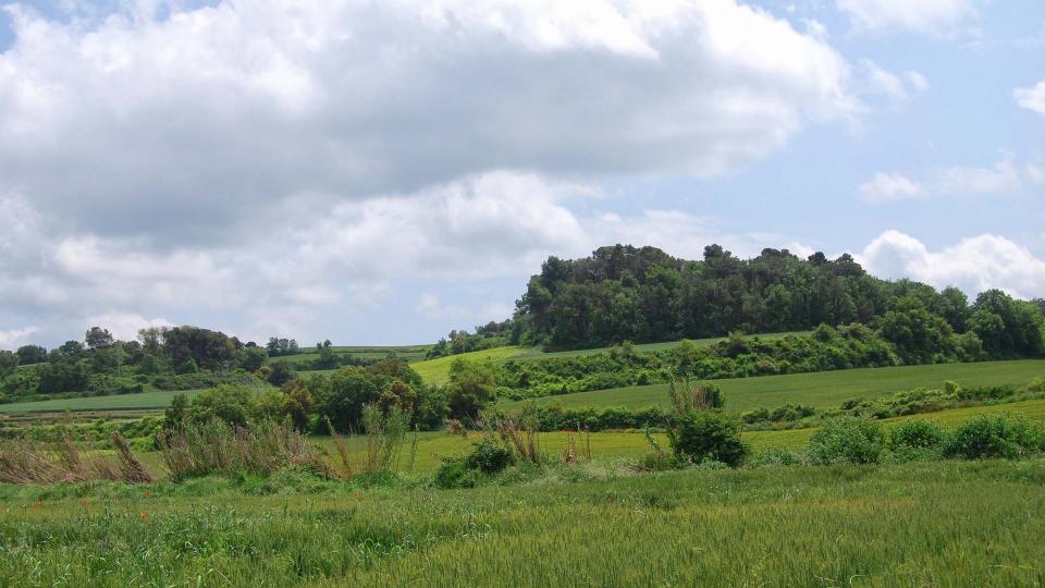 22 de Maig de 2016 Paisatge  Montpalau -  Ramon Sunyer