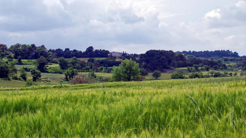 22 de Maig de 2016 Paisatge  Montpalau -  Ramon Sunyer