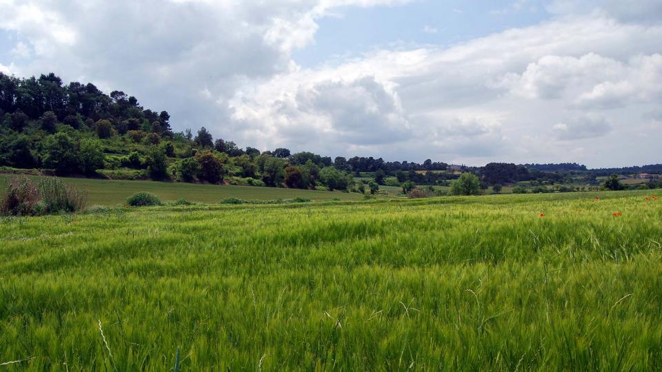 22 de Maig de 2016 Paisatge  Montpalau -  Ramon Sunyer