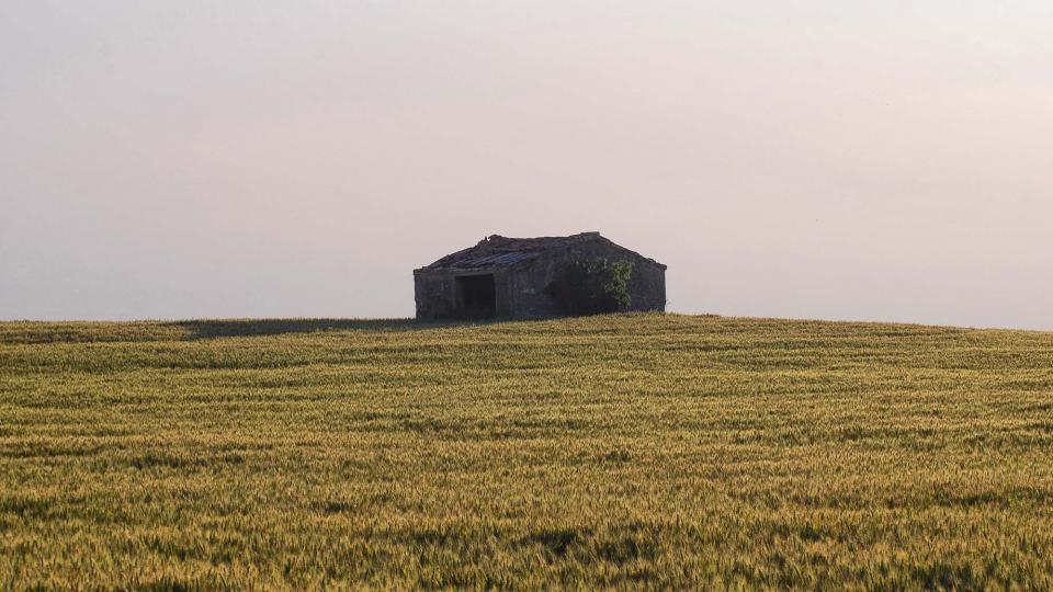 22 de Maig de 2016 cabana  L'Aranyó -  Ramon Sunyer