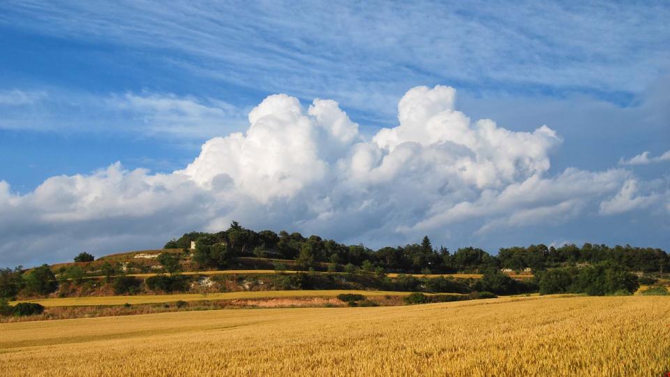 11 de Juny de 2016   Bellmunt de Segarra -  Ramon Sunyer