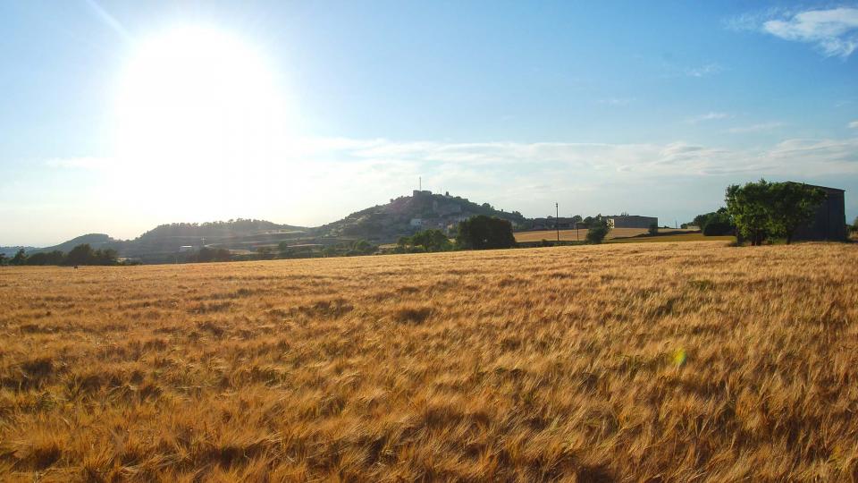 Agricultura declara d'interès general i amplia els terminis dels ajuts del programa Leader i altres línies d'ajut