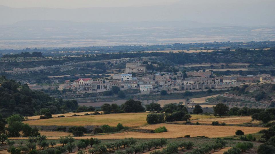 11.6.2016 vista des de l'Ametlla  Montornès de Segarra -  Ramon Sunyer