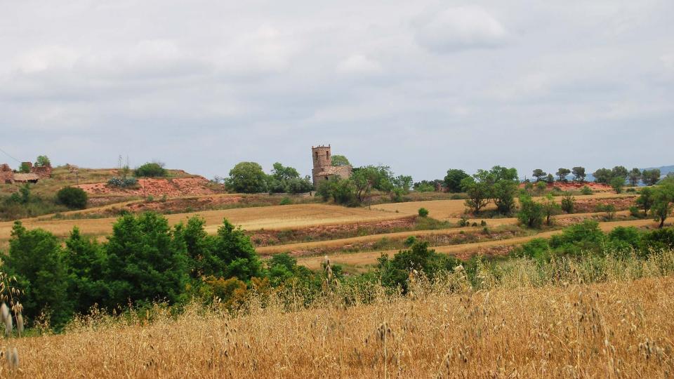 11.6.2016 - paisatge - Albarells - Ramon Sunyer