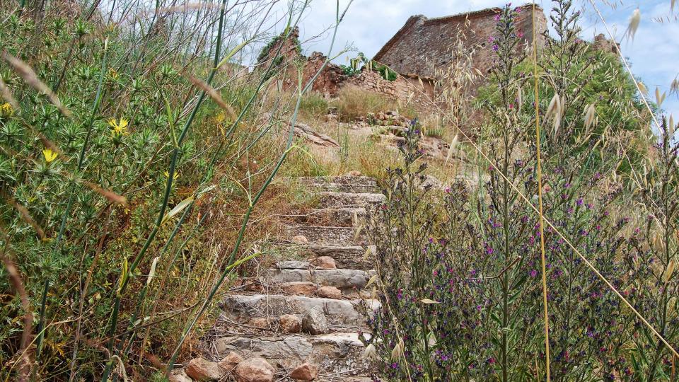 11.6.2016 - escales - Albarells - Ramon Sunyer