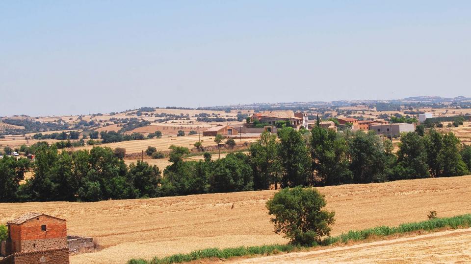 24.6.2016 vall del sió  Ratera -  Ramon Sunyer