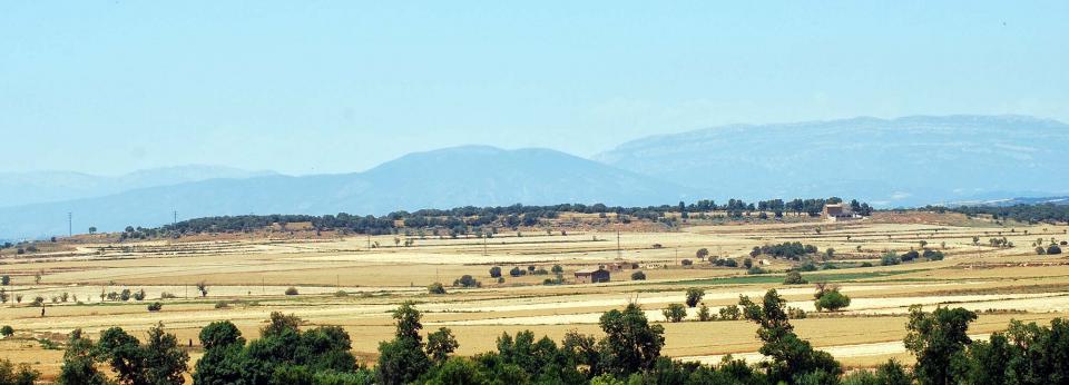 24 de Juny de 2016 paisatge  Mont-Roig -  Ramon Sunyer