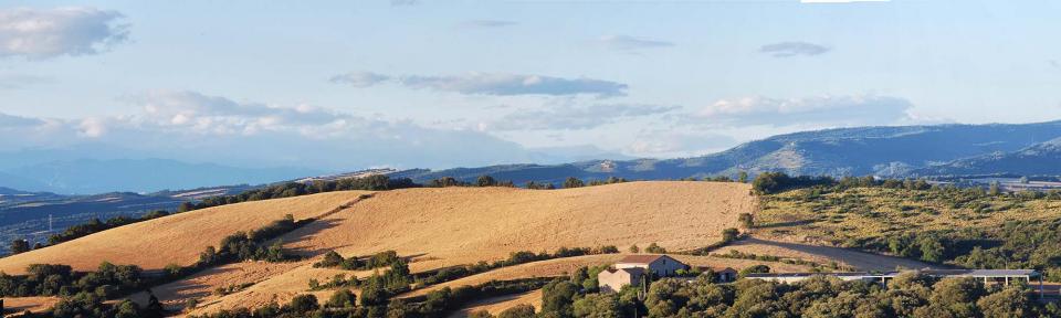 18.6.2016   Calonge de Segarra -  Ramon Sunyer