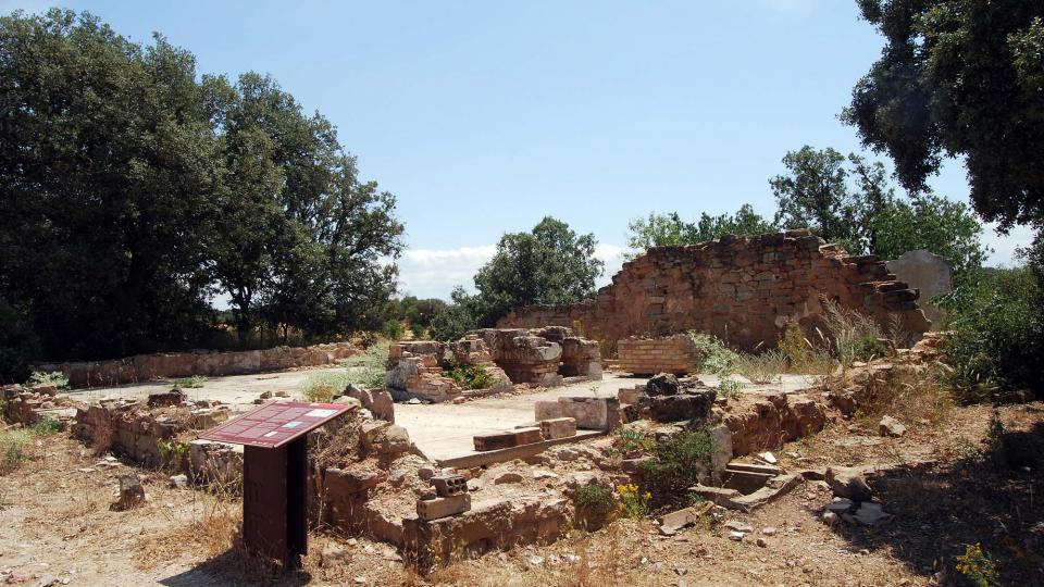 26.6.2016 aeròdrom  L'Aranyó -  Ramon Sunyer