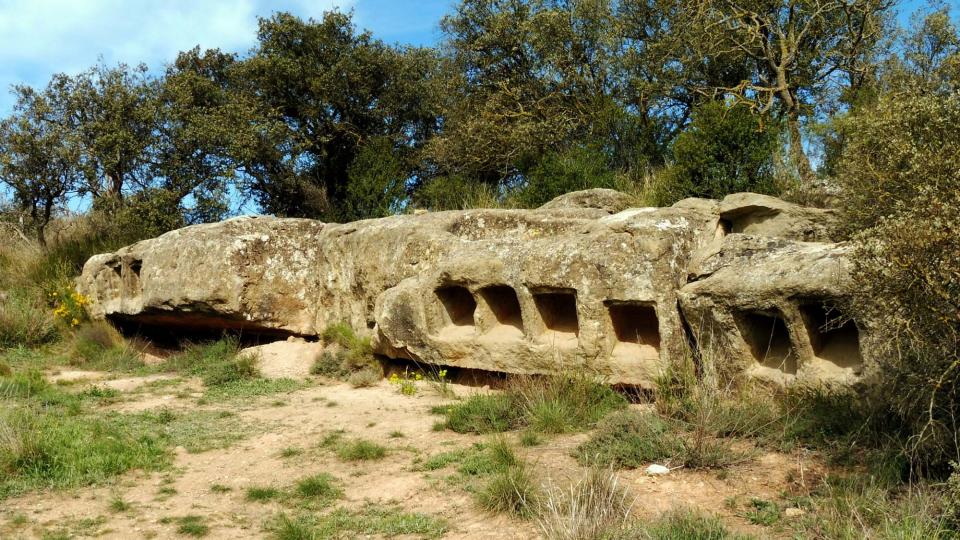 12.4.2016 columbari  Montcortès de Segarra -  Isidre Blanc