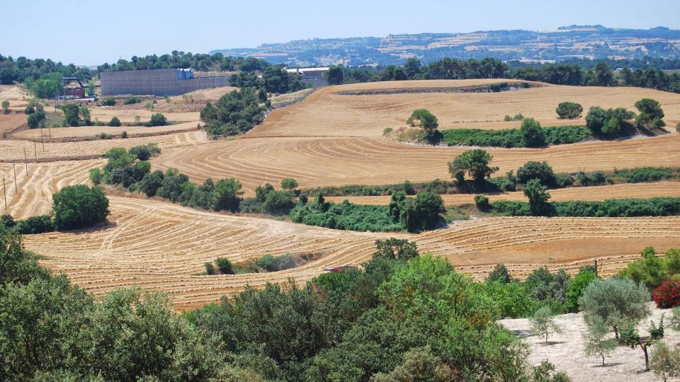 10.7.2016 paisatge  Palamós -  Ramon Sunyer