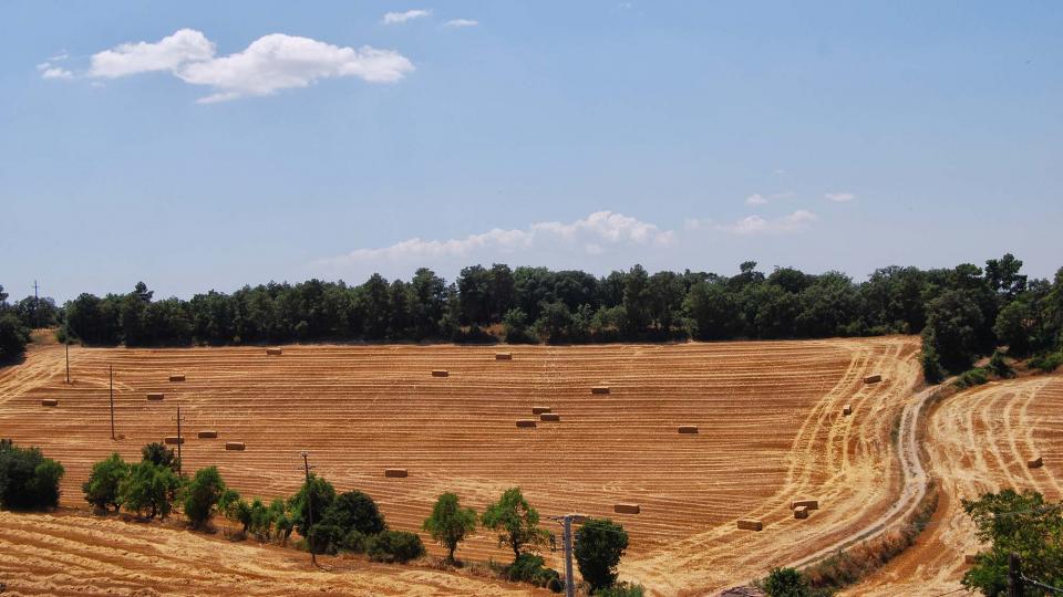 10.7.2016 paisatge  Sant Domí -  Ramon Sunyer