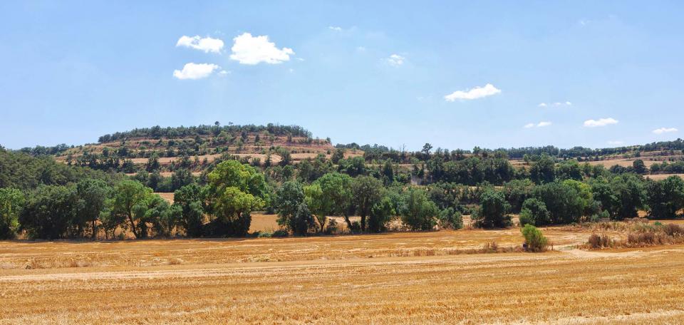 10.7.2016 Vall del Sió  Santa Fe -  Ramon Sunyer