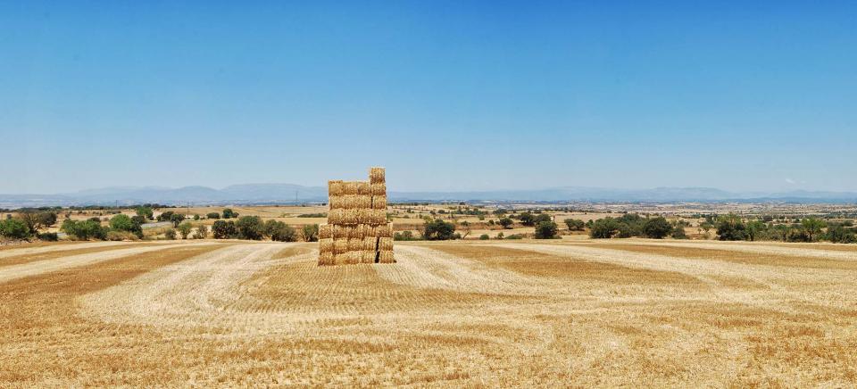 17.7.2016 paisatge  Tarroja de Segarra -  Ramon Sunyer
