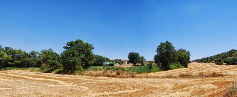 17.7.2016 ribera del Sió  Tarroja de Segarra -  Ramon Sunyer