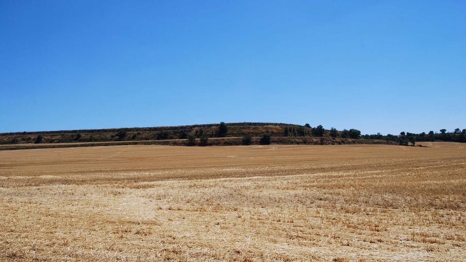 17.7.2016 paisatge  Castellmeià -  Ramon Sunyer