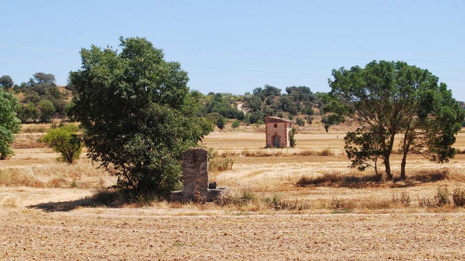 17.7.2016 pous  Tarroja de Segarra -  Ramon Sunyer