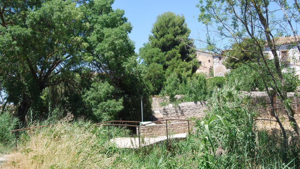 17.7.2016 font dels horts  Tarroja de Segarra -  Ramon Sunyer