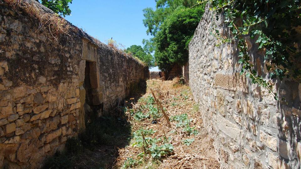 17.7.2016 horts  Tarroja de Segarra -  Ramon Sunyer