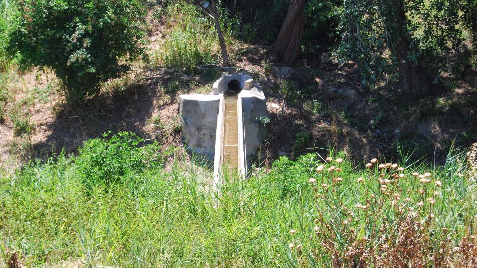 17.7.2016 l'aigua és abundant  Sant Antolí i Vilanova -  Ramon Sunyer