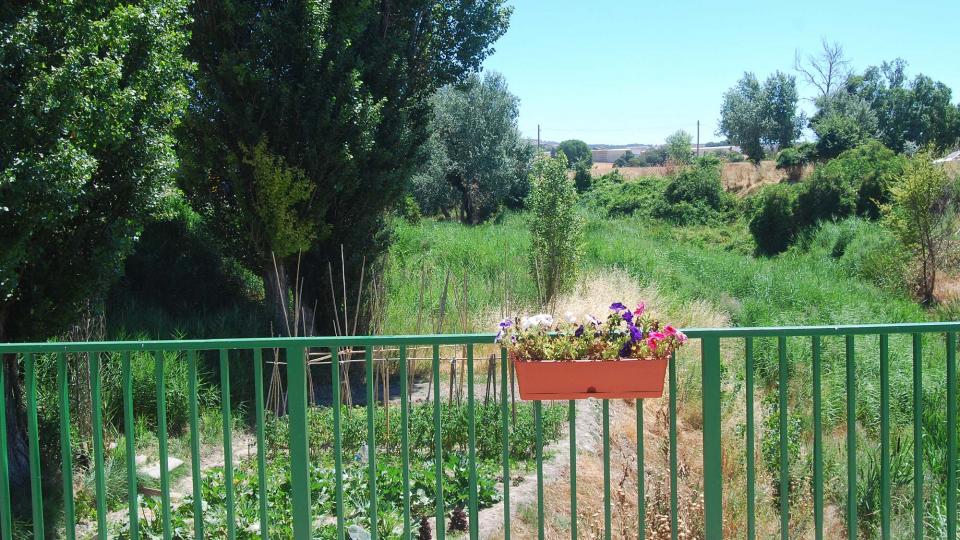 17.7.2016 pont sobre l'Ondara  Sant Antolí i Vilanova -  Ramon Sunyer