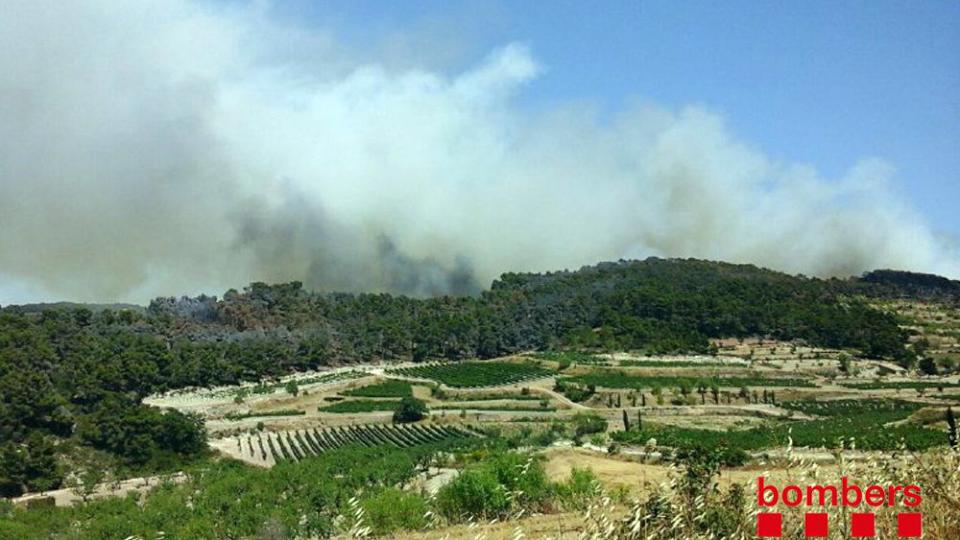 19 de Juliol de 2016   Rocallaura -  Bombers.cat