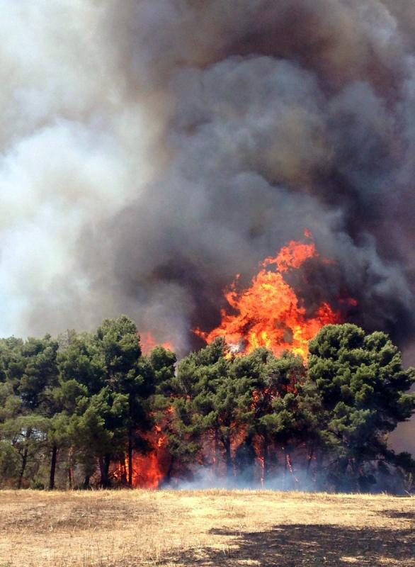 19 de Juliol de 2016   Rocallaura -  agentsruralscat