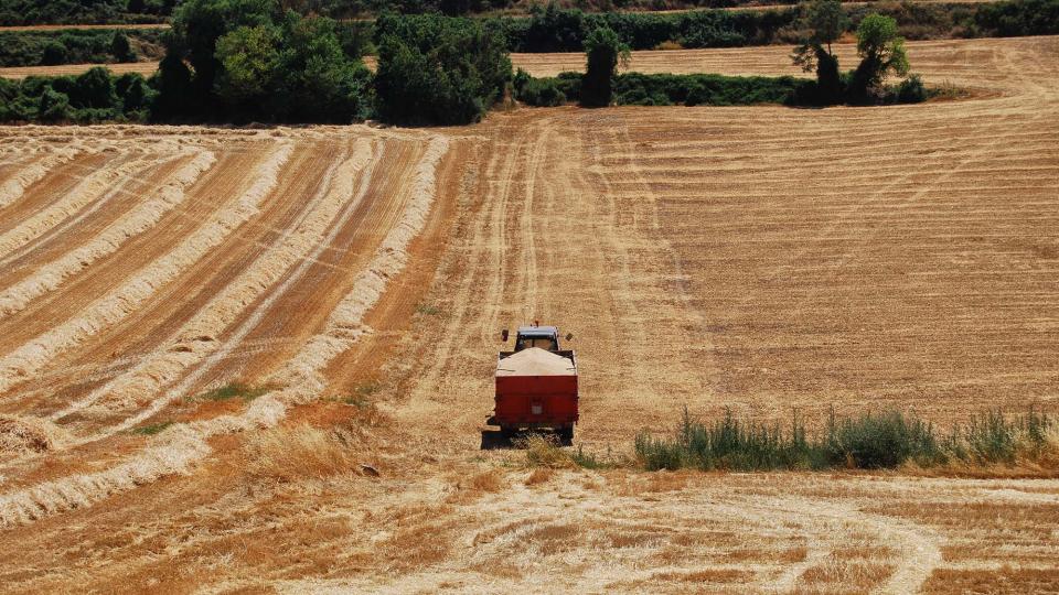 24.7.2016 Paisatge  Viver de Segarra -  Ramon Sunyer