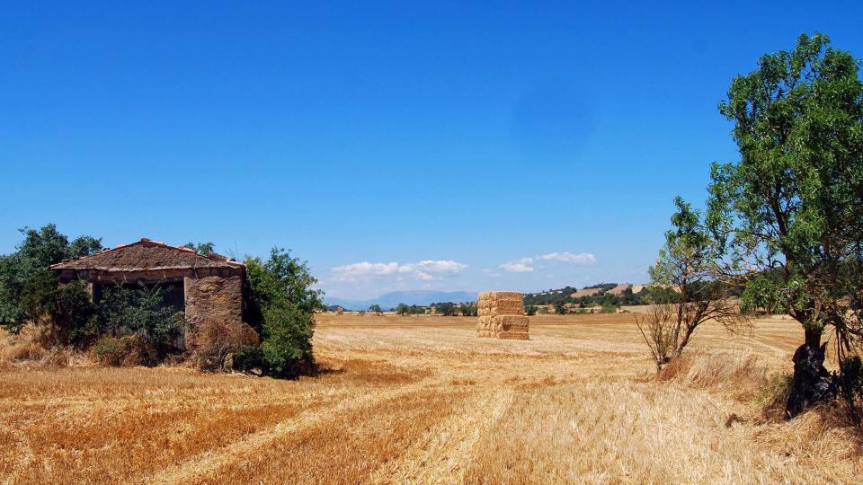 24 de Juliol de 2016 Paisatge  Ivorra -  Ramon Sunyer