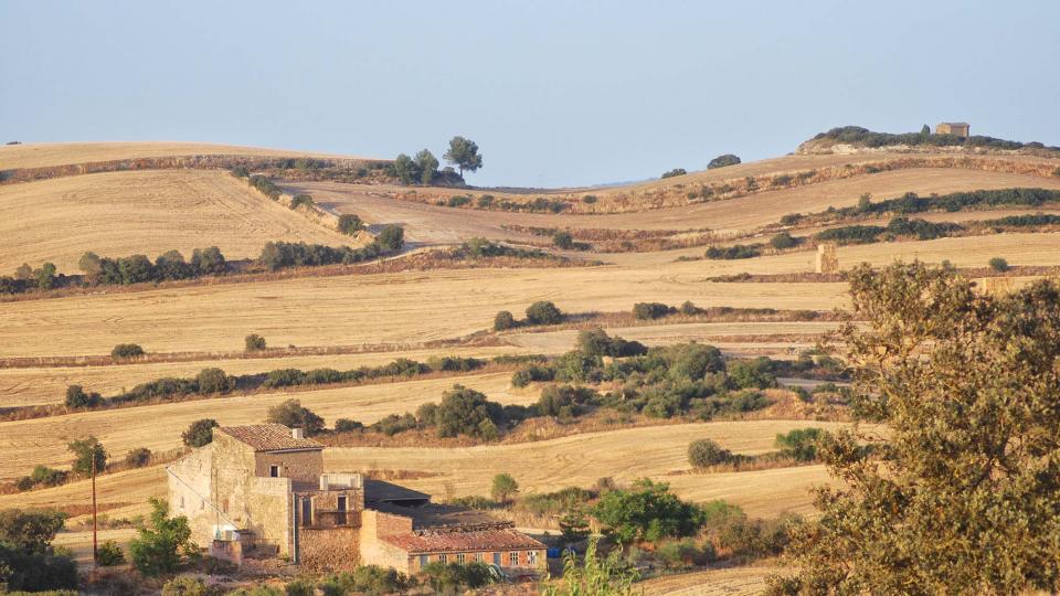 30.8.2016 els Murinyols  Torà -  Ramon Sunyer